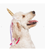 Midlee Designs Dog Unicorn Headband Halloween Costume