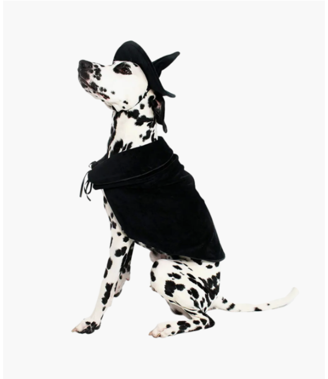 Midlee Designs Halloween Witch Cape and Hat Dog Costume