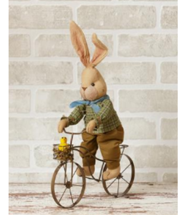 Bunny- On Bike