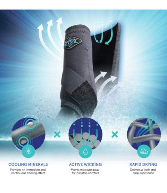 Professional's Choice 2XCool SMB - Solid