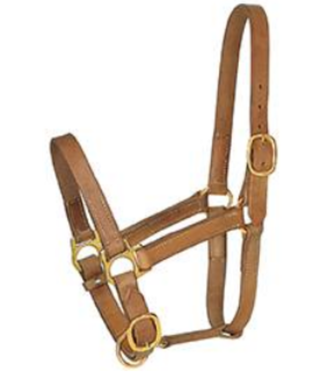 Professional's Choice Turn Out Halter