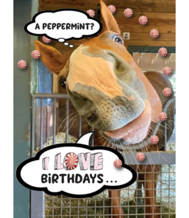 Horse Hollow Press HH Birthday Card