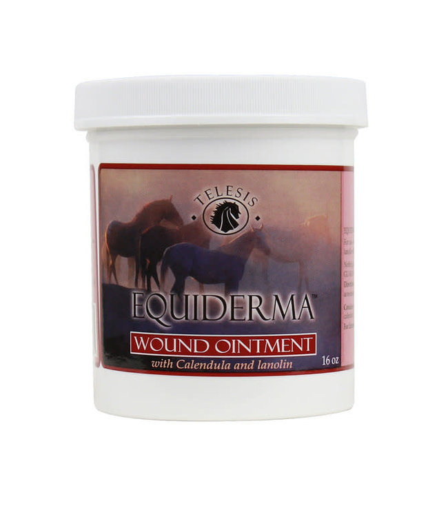 Equiderma Equiderma Wound Ointment 16 oz.