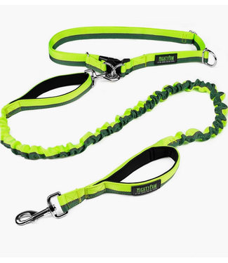 Mighty Paw Hands Free Bungee Leash 2.0