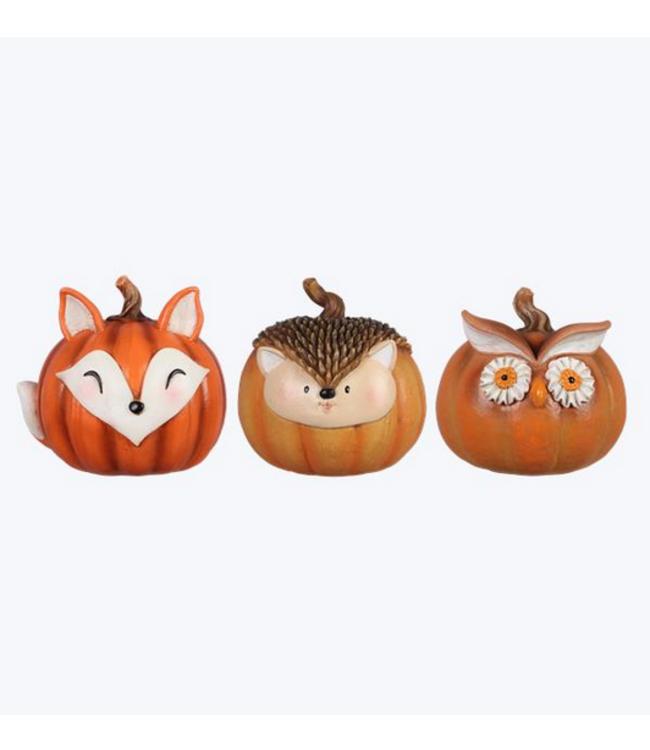 Youngs Resin Animal Pumpkin Assort