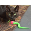 Dezi & Roo Bouncy Ball Ping Cat Toy