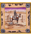 Wyoming Traders Wy Traders Wild Silk Rags LTD