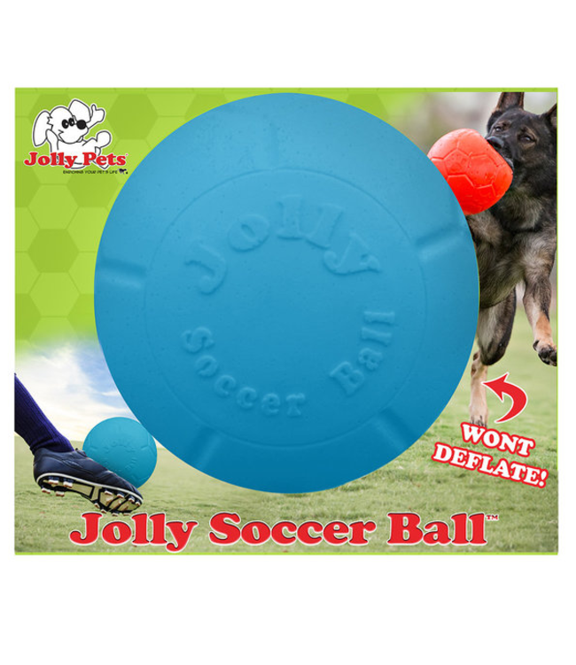 Jolly Soccer Ball Beyond the Barn