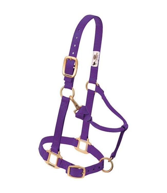 Weaver Original Adj. Nylon 3/4" Halter