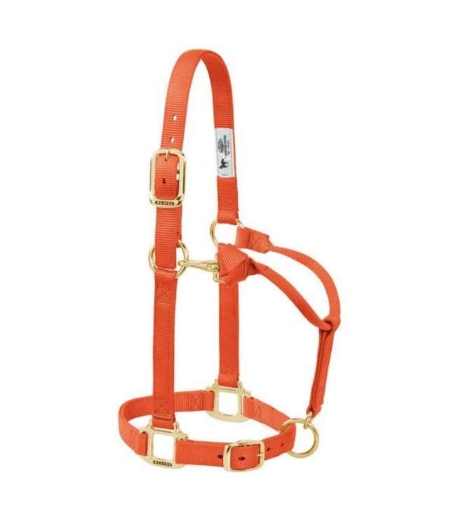 Weaver Original Adj. Nylon 3/4" Halter