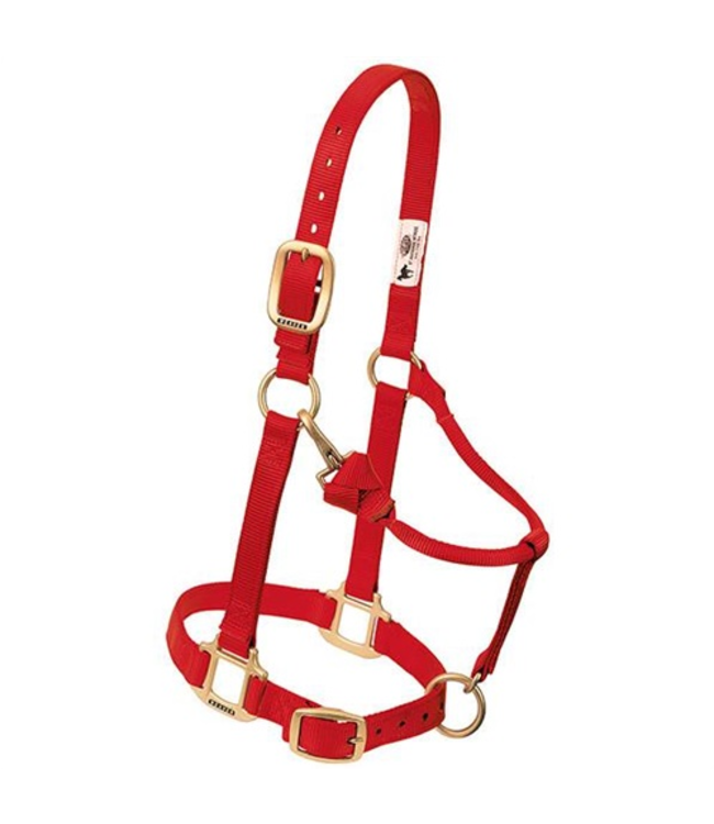Weaver Original Adj. Nylon 3/4" Halter