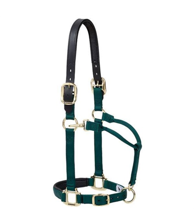 Weaver Padded Breakaway Adjustable Halter