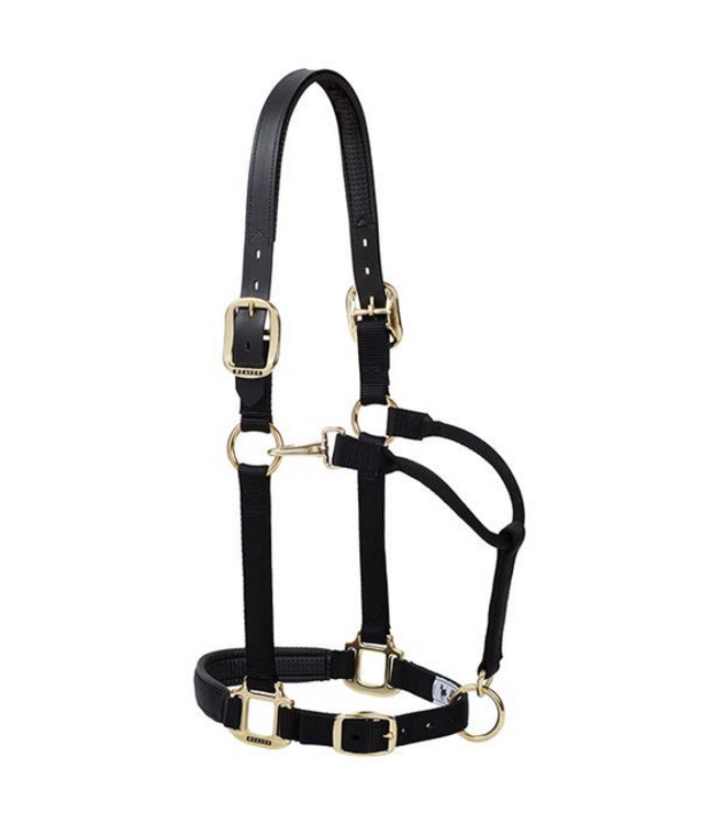 Weaver Padded Breakaway Adjustable Halter
