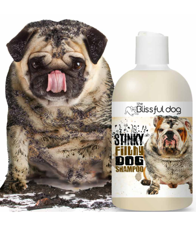 The Blissful Dog Stinky Filthy Dog Shampoo 16oz