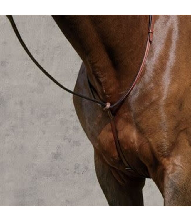 Rubber Martingale Stop