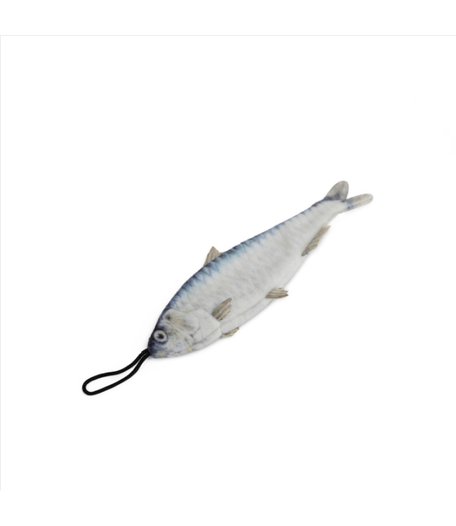 Steel Dog Cat Toy - Sardine