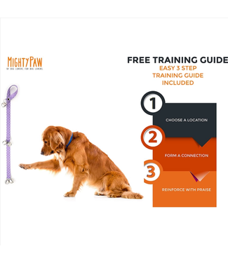 3 Most Important Dog Training Tools