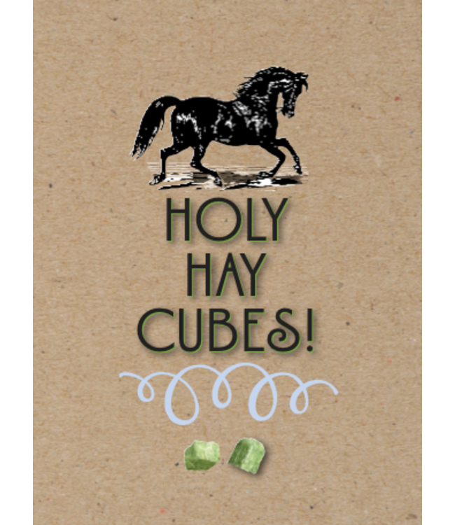 Horse Hollow Press Horse Hollow Birthday Card Holy Hay Cubes