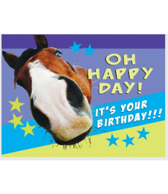 Money/Gift Card Holder & Envelope Birthdays