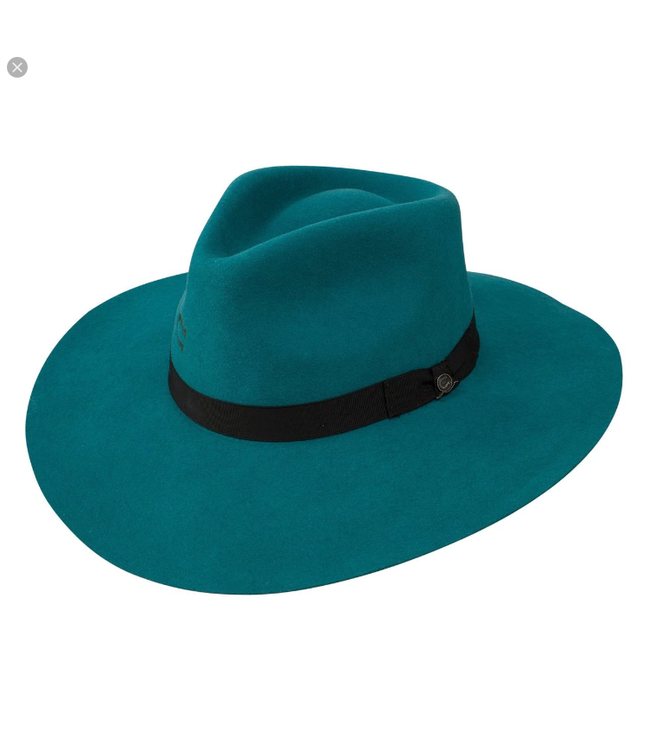 Charlie 1 Horse Highway