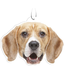 Spoontiques Dog Breed Air Fresheners 3pk