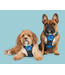Big and Little Dogs The All-Rounder Dog Harness
