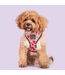Big and Little Dogs Reversible Dog Harness