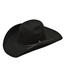 Ariat Ariat 2X Wool Hat Black Punchy