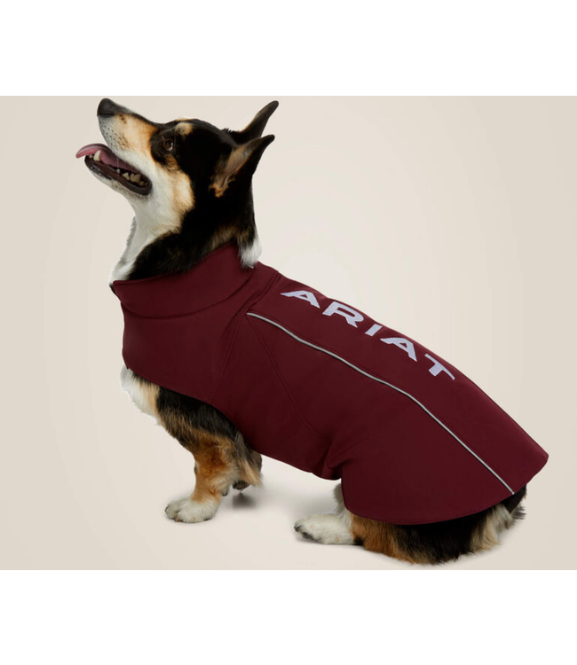 Team Softshell Dog Jacket Beyond the Barn