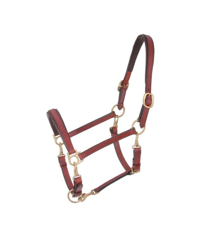 Royal King 4-Way Stable/Grooming Leather Halter