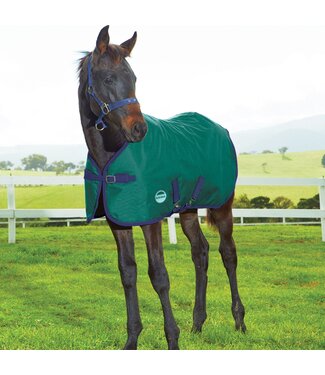 Weatherbeeta Foal Blanket 1200D Standard Neck Medium