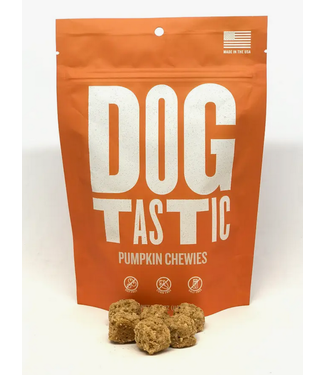 SodaPup Dogtastic Pumpkin Chewies