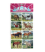 Rainbow Horse Stickers - Assorted