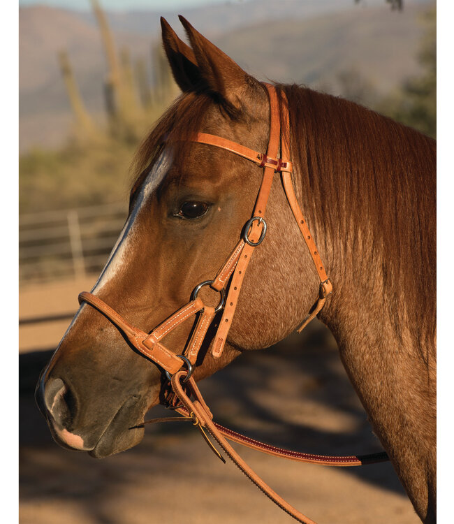Professional's Choice Leather Round Nose Side Pull