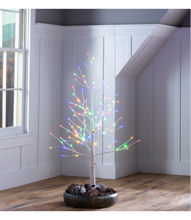 Evergreen Enterprises Indoor/Outdoor Birch Tree w/Multi LED Lights  4'