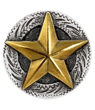 Antique Gold Engraved Raised Star Concho 5/8"