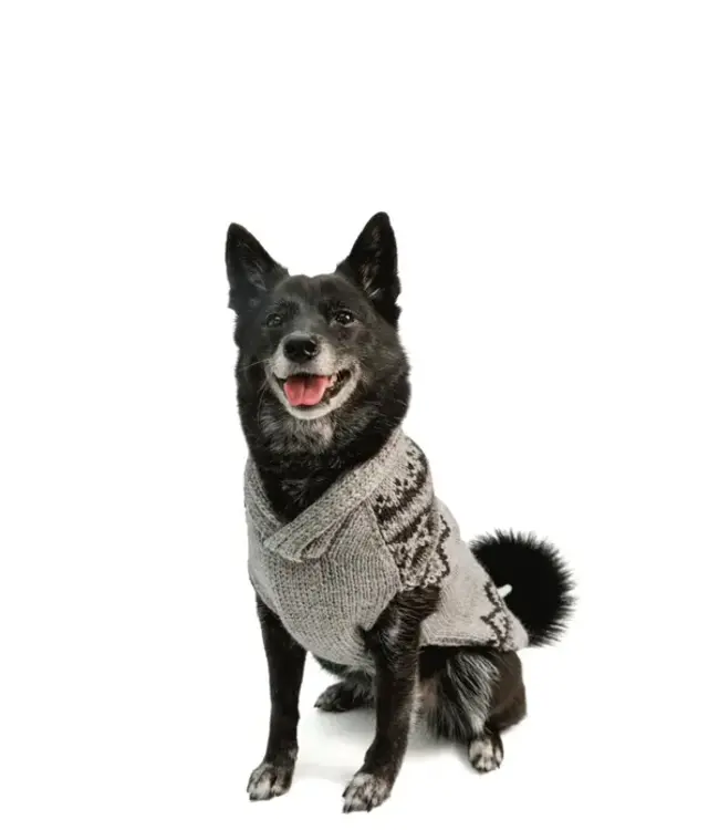 Chilly Dog Alpaca Smokey Wyatt Dog Sweater