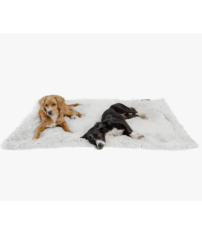 Best Friends by Sheri Shag Pet Blanket