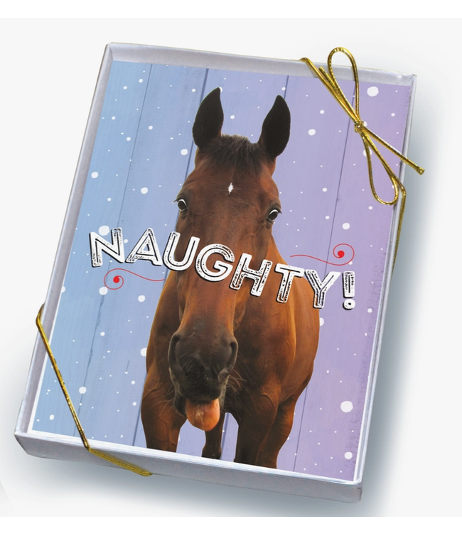 Horse Hollow Press Horse Boxed Christmas Cards