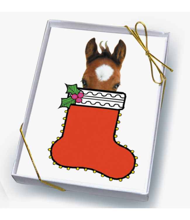 Horse Hollow Press Horse Boxed Christmas Cards