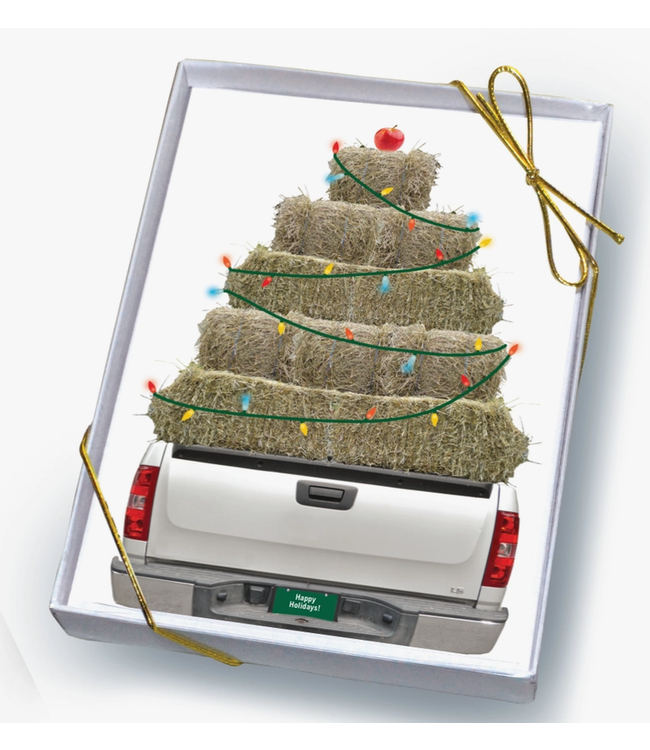 Horse Hollow Press Horse Boxed Christmas Cards