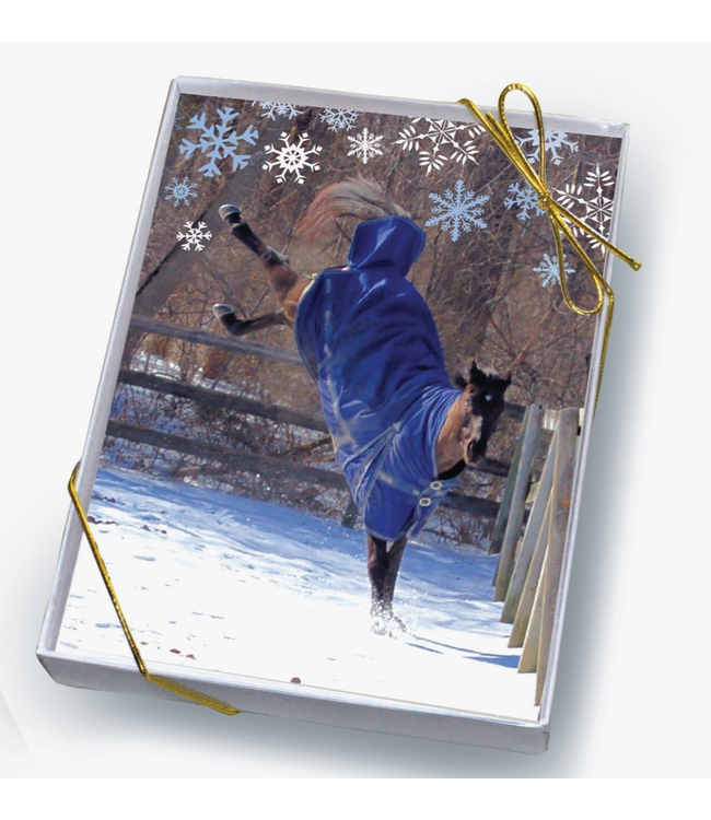 Horse Hollow Press Horse Boxed Christmas Cards