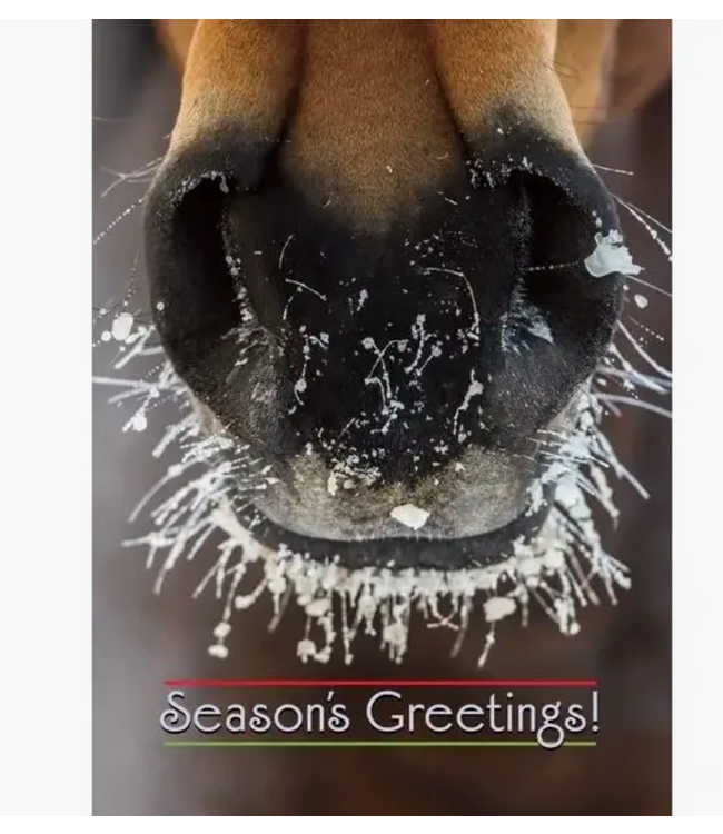 Horse Hollow Press Horse Christmas Cards