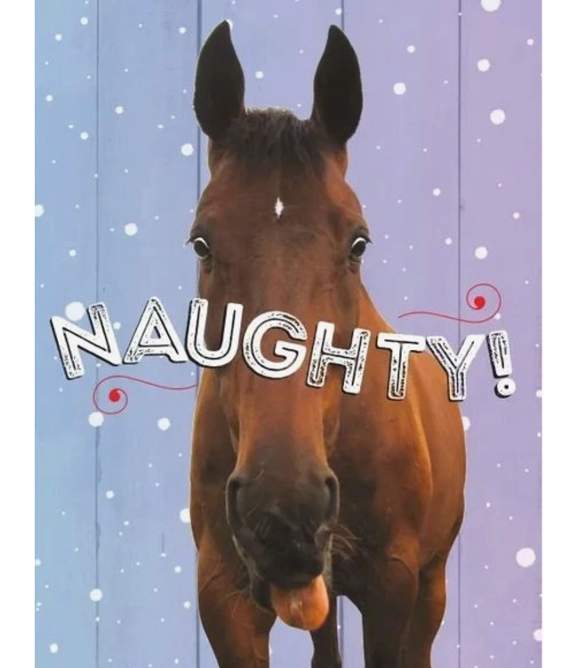 Horse Hollow Press Horse Christmas Cards