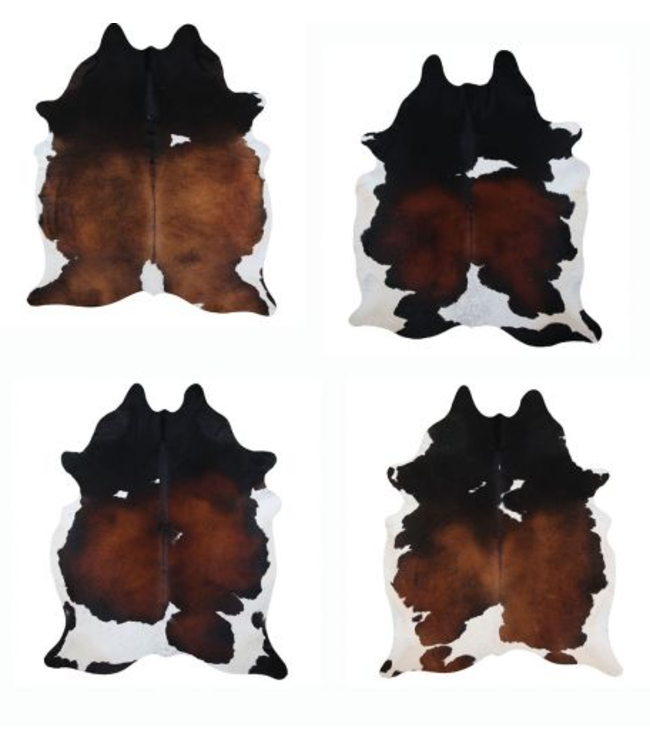 Shiloh LG/XL Brazilian Tri Color Cowhide Rug