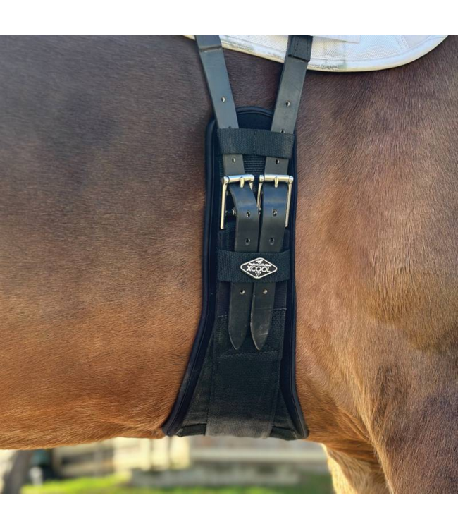 Professional's Choice 2XCool English Girth Dressage