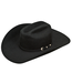 Ariat Ariat 2X Wool Hat Black Double S