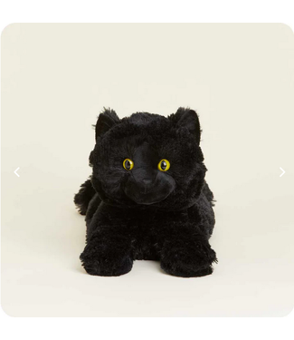Warmies Warmies Black Cat