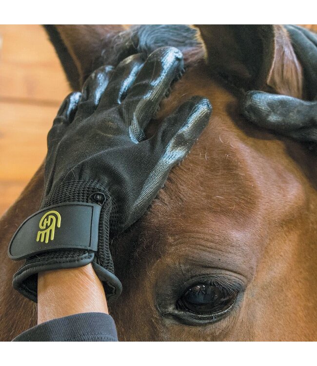 Hands On HandsOn Glove