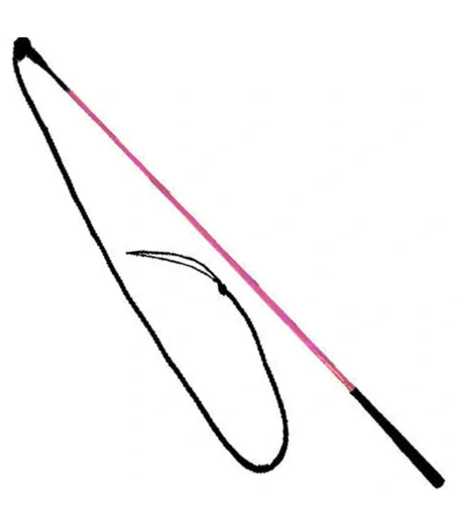 48" Training Stick